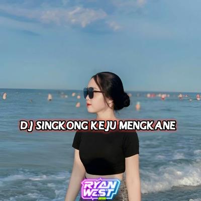 DJ SINGKONG KEJU MENGKANE's cover