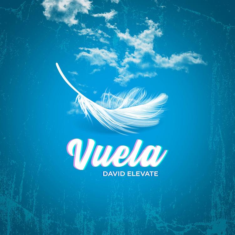 David Elevate's avatar image