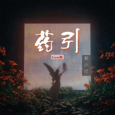 药引 (Live版)'s cover