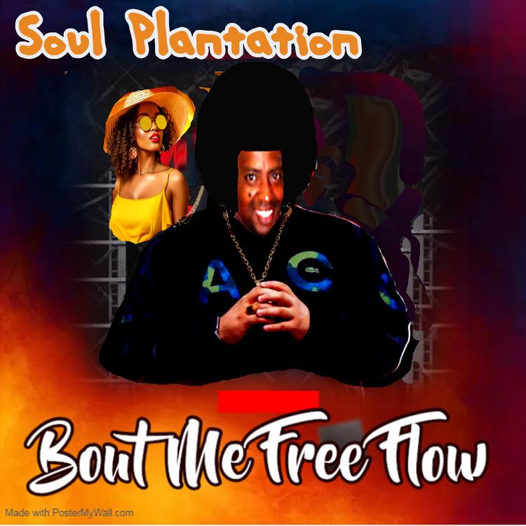 Soul Plantation's avatar image