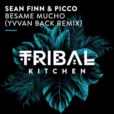 Besame Mucho (Yvvan Back Extended Remix) By Sean Finn, Picco's cover