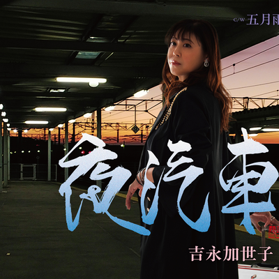夜汽車 (半音下げカラオケ)'s cover