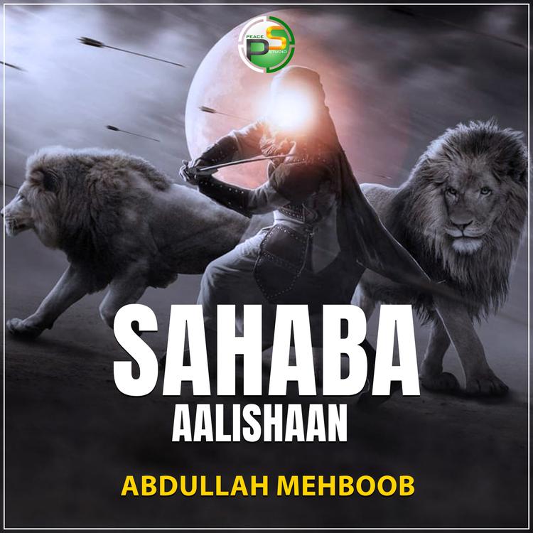 Abdullah Mehboob's avatar image