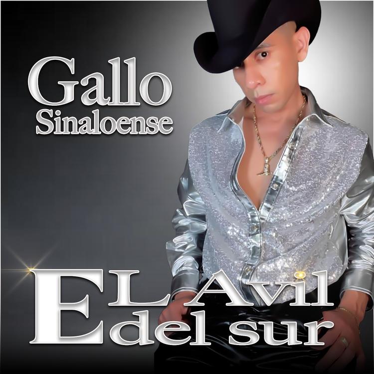 El Avil Del Sur's avatar image