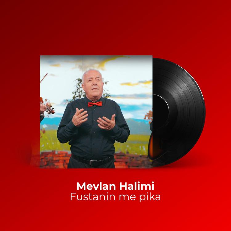 Mevlan Halimi's avatar image