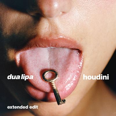Houdini (Extended) By Dua Lipa's cover