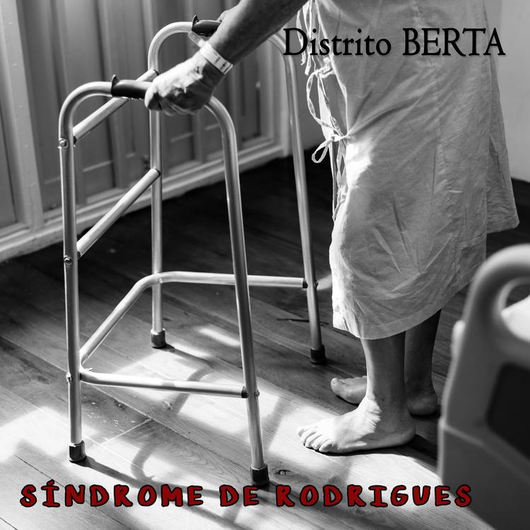 Distrito BERTA's avatar image