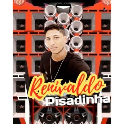 Renivaldo Pisadinha's cover