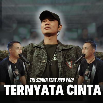 Ternyata Cinta's cover