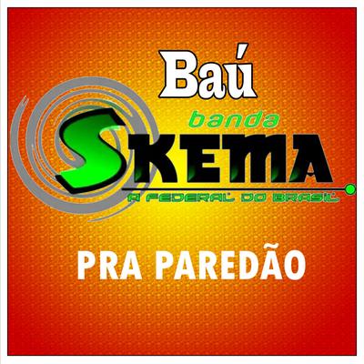 Banda Skema's cover