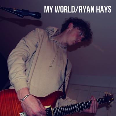 Make It Stop By Ryan Hays's cover