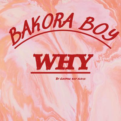 Why by Bakora boy's cover