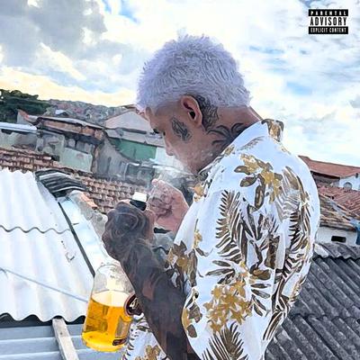 Ela Fode Fumando uma Erva By Dj Vinicin do Concordia, MC BS, MC Saci's cover