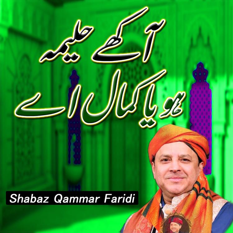 Shabaz Qammar Faridi's avatar image