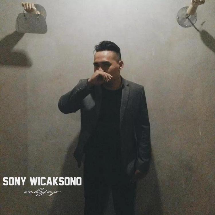 Sony Wicaksono's avatar image