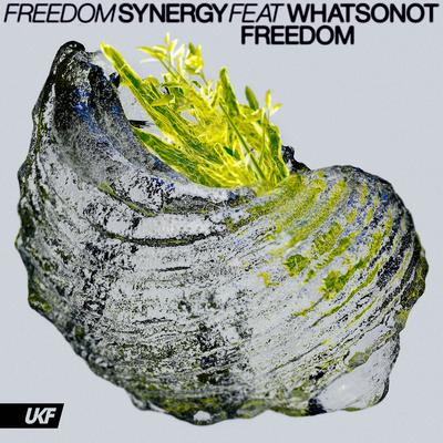 Freedom (ft. What So Not) By Synergy, What So Not's cover