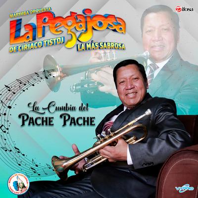 La Cumbia del Pache Pache. Música de Guatemala para los Latinos's cover