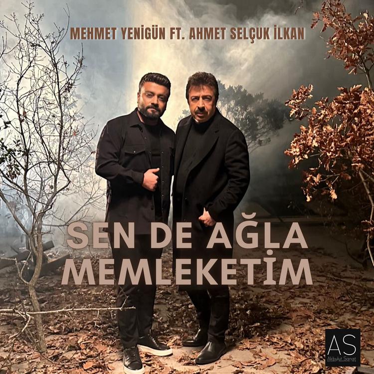 Mehmet Yenigün's avatar image