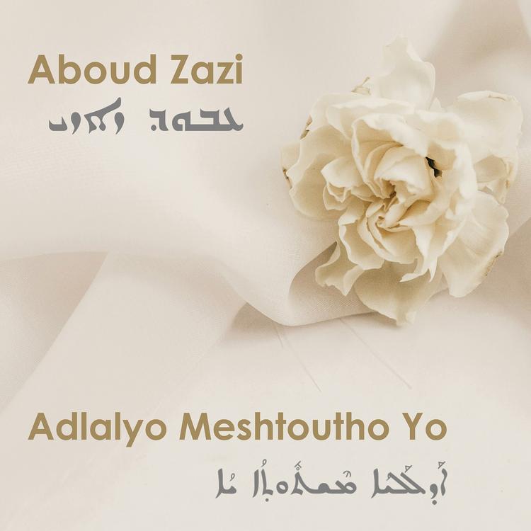 Aboud Zazi's avatar image