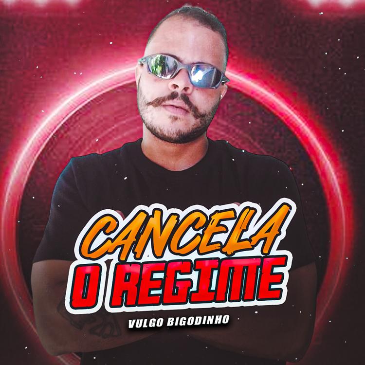 Vulgo Bigodinho's avatar image
