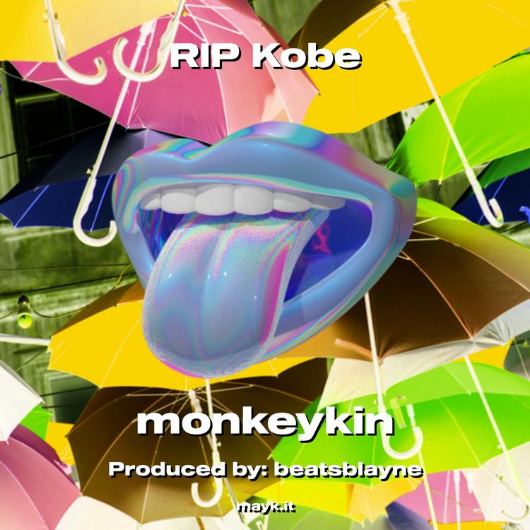 monkeykin's avatar image