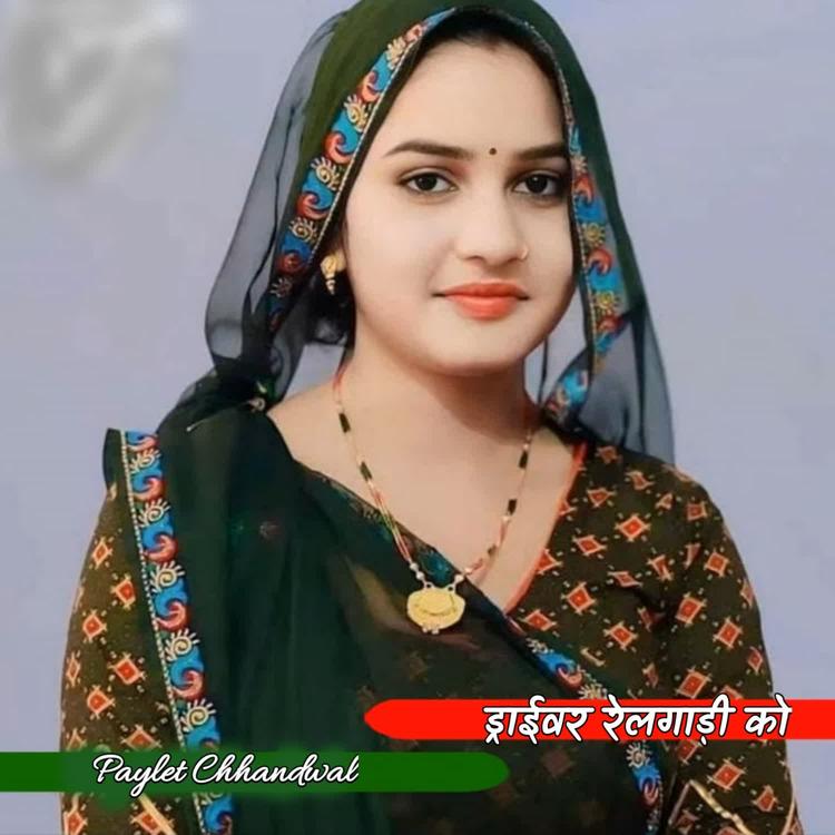 Paylet Chhandwal's avatar image