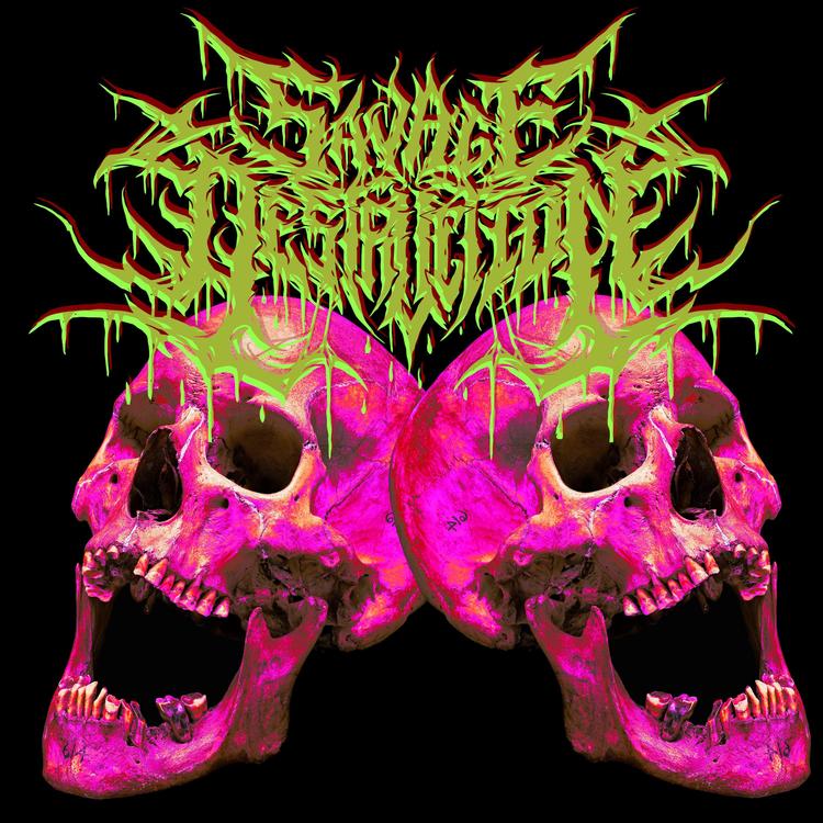 Savage Destruction's avatar image