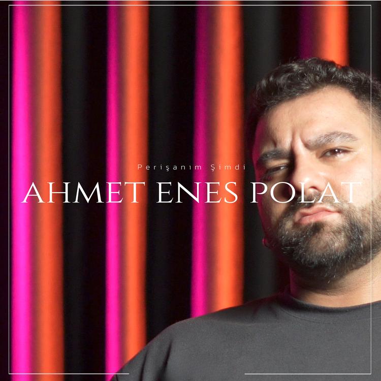 Ahmet Enes Polat's avatar image