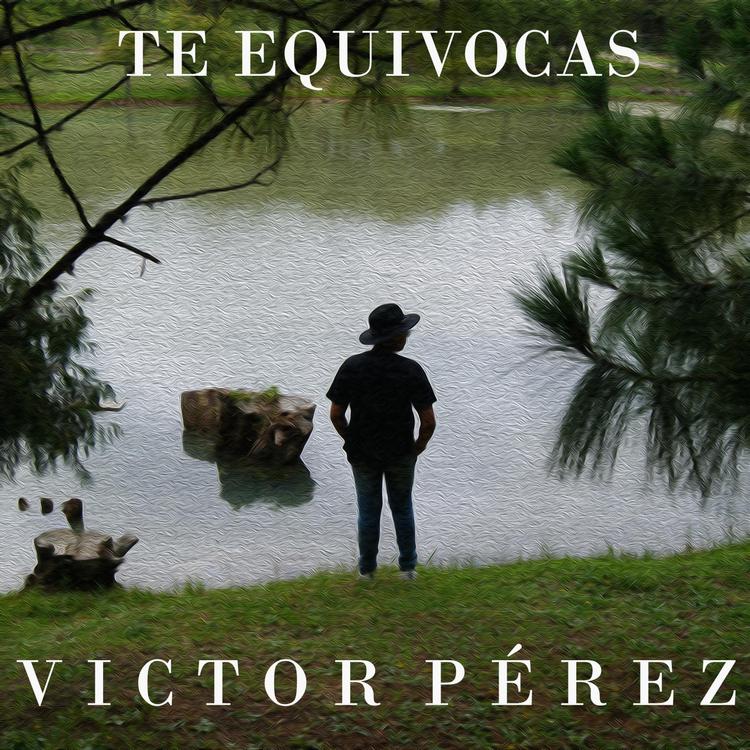 Victor Perez's avatar image