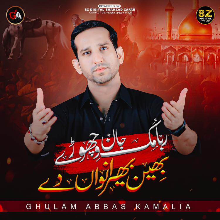 Ghulam Abbas Kamalia's avatar image
