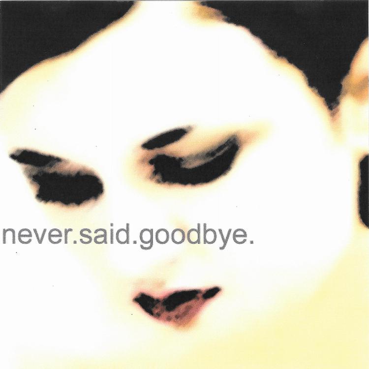 Never Said Goodbye's avatar image