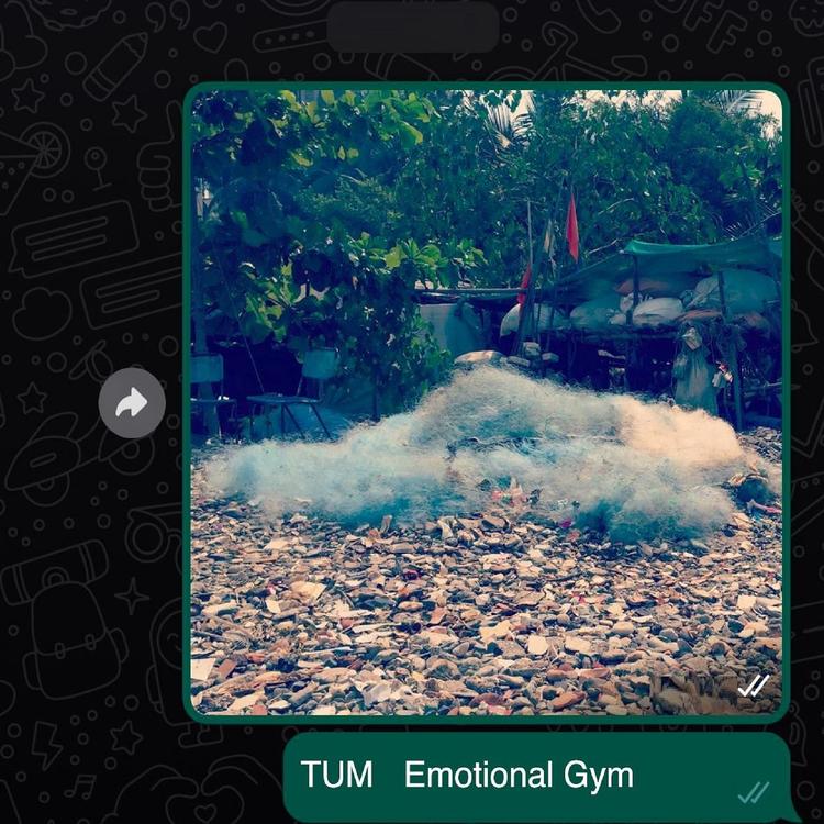 Tum's avatar image