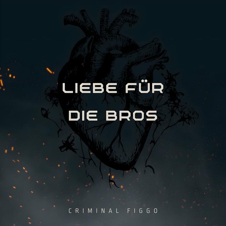 Criminal Figgo's avatar image