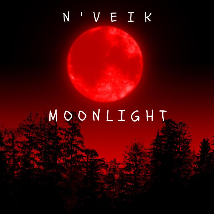 N'veik's avatar image