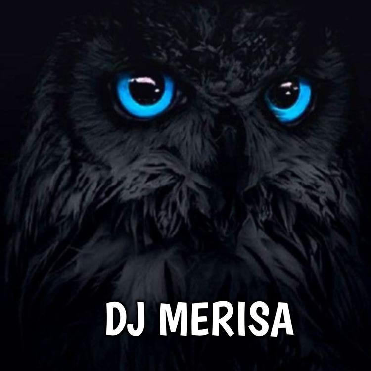 DJ Merisa's avatar image