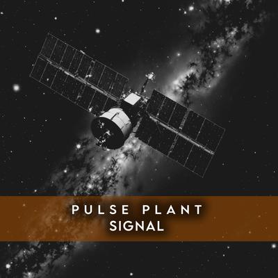 Pulse Plant's cover