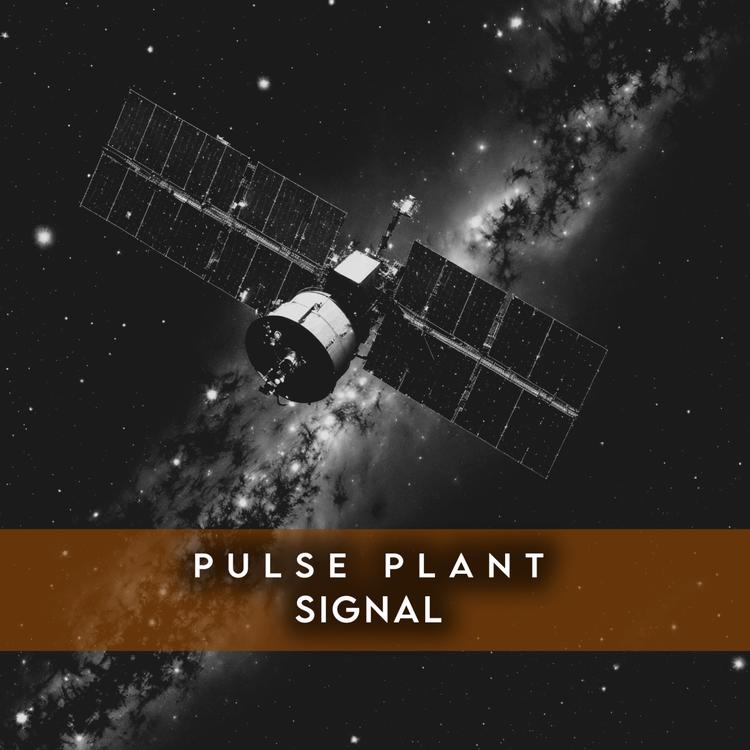 Pulse Plant's avatar image