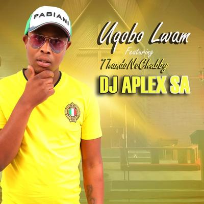 Dj Aplex's cover