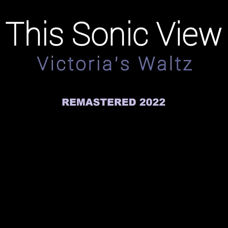 This Sonic View's avatar image