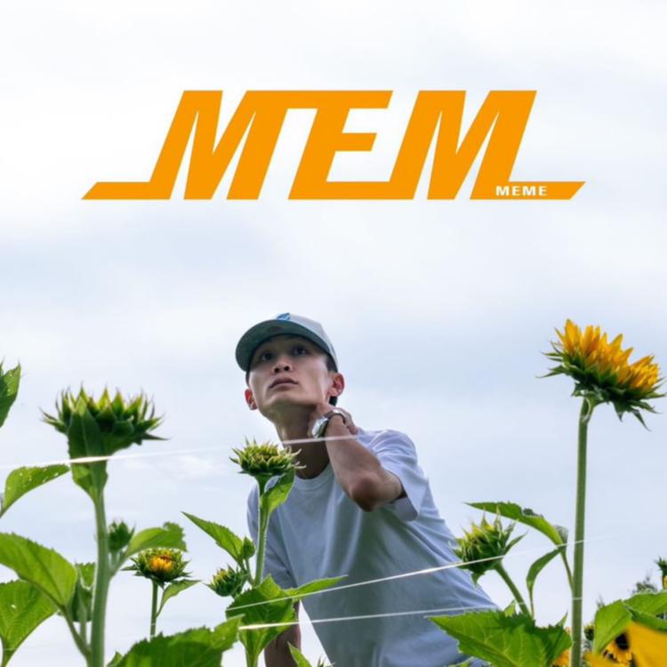 MeMe's avatar image