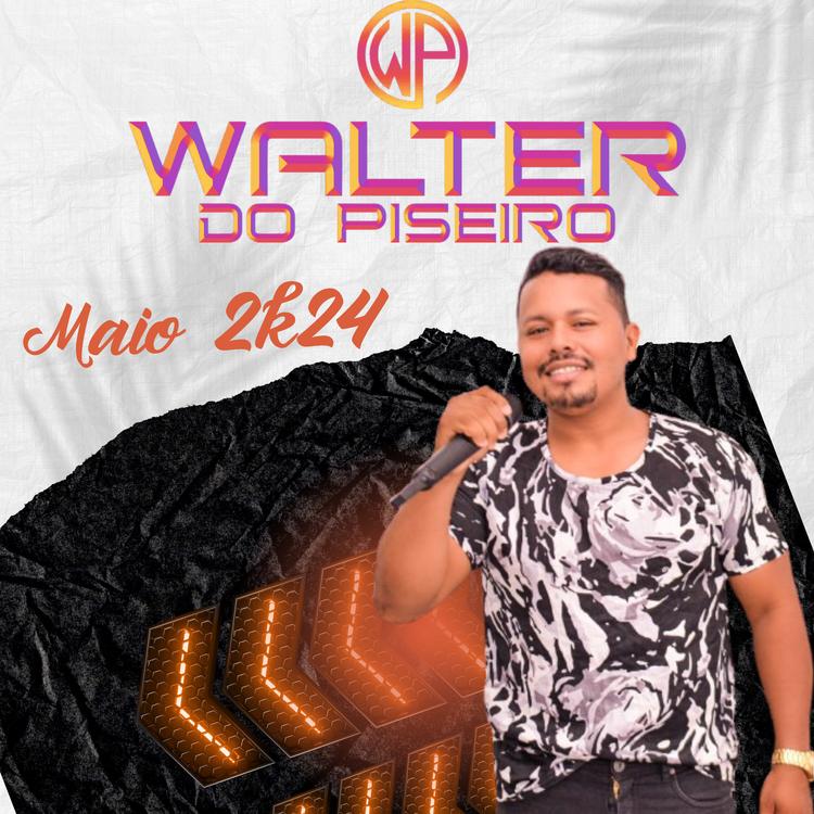 Walter do Piseiro's avatar image