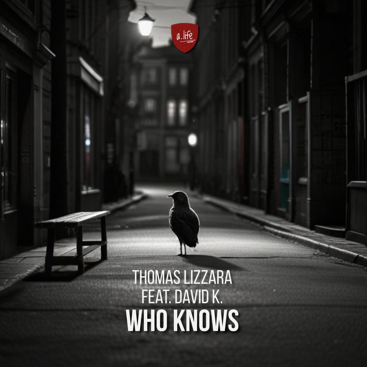 Thomas Lizzara's avatar image
