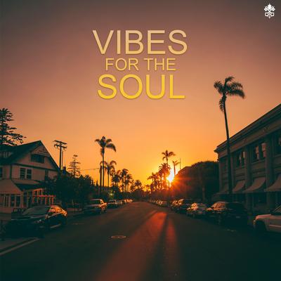 Vibes for the Soul's cover