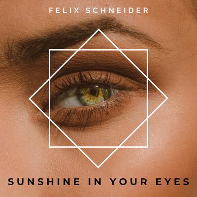 Felix Schneider's cover