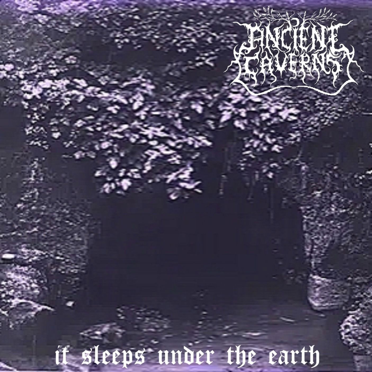 Ancient Caverns's avatar image