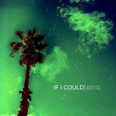 If I Could By Miccoli's cover