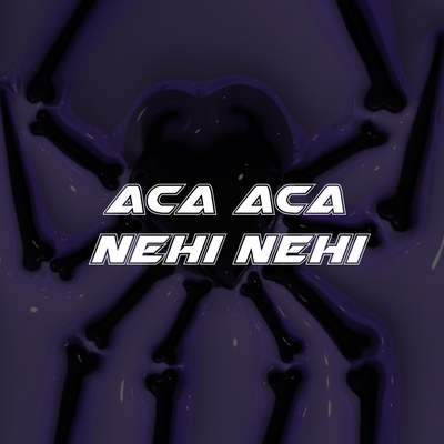 Aca Aca Nehi Nehi's cover