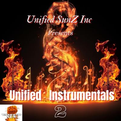 Unified SunZ Inc's cover