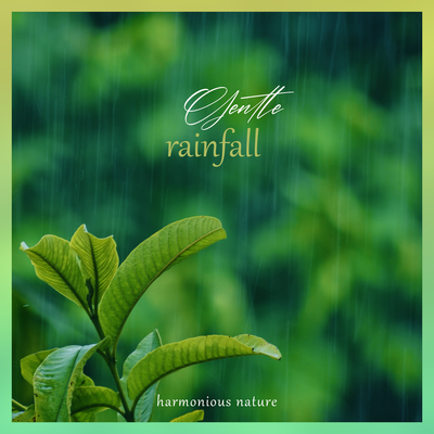 Gentle Rainfall By Harmonious Nature's cover
