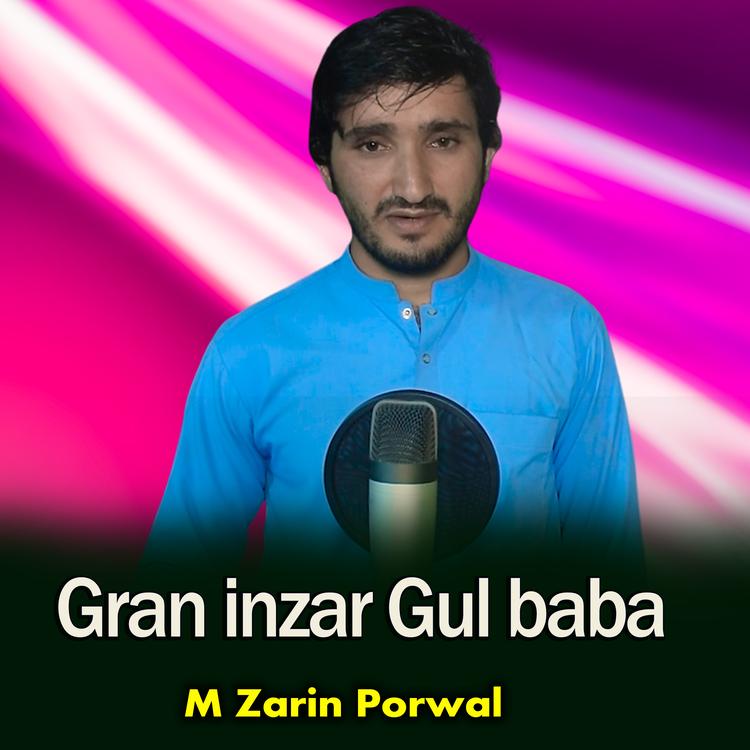 M Zarin Porwal's avatar image